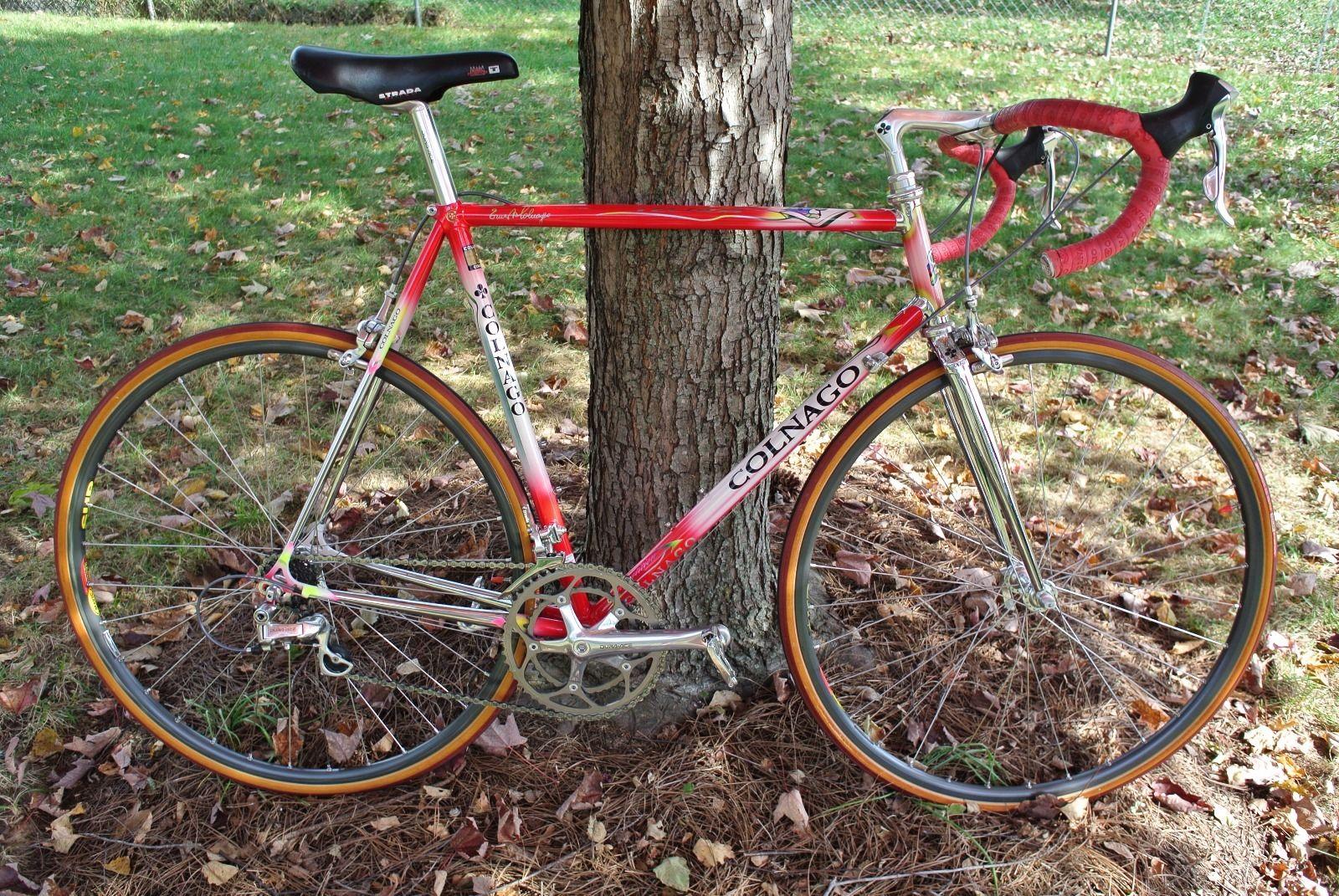 COLNAGO Bicycle
